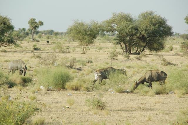 Urlaub in Indien 2016